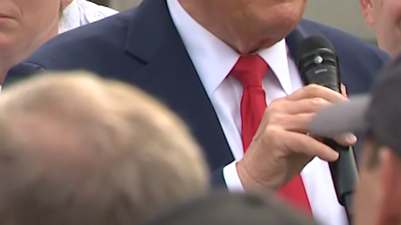CNN On Trump: The Grass Comment Explained CNN On Trump: The Grass Comment Explained