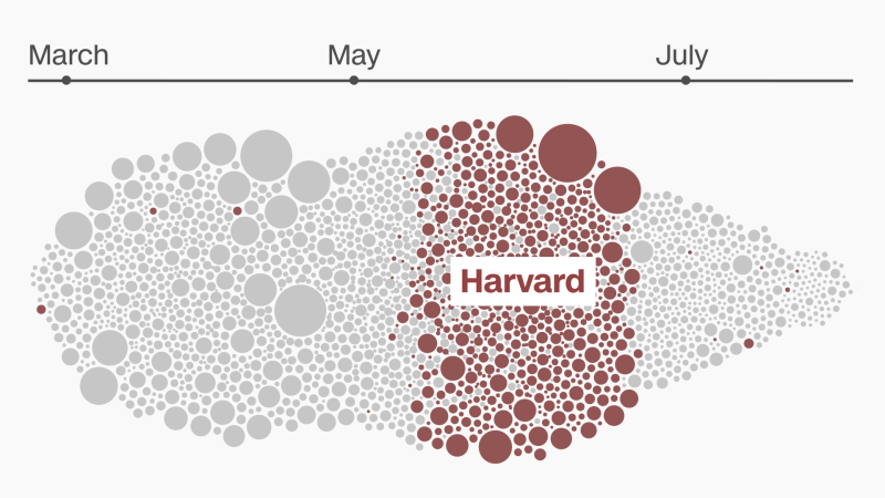 Data Visualization: The Impact Of Harvard's $2.4 Billion In Cancelled Research Grants Data Visualization: The Impact Of Harvard's $2.4 Billion In Cancelled Research Grants