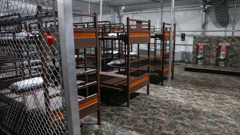 Days Until Empty: Florida's Alligator Holding Facility Update Days Until Empty: Florida's Alligator Holding Facility Update