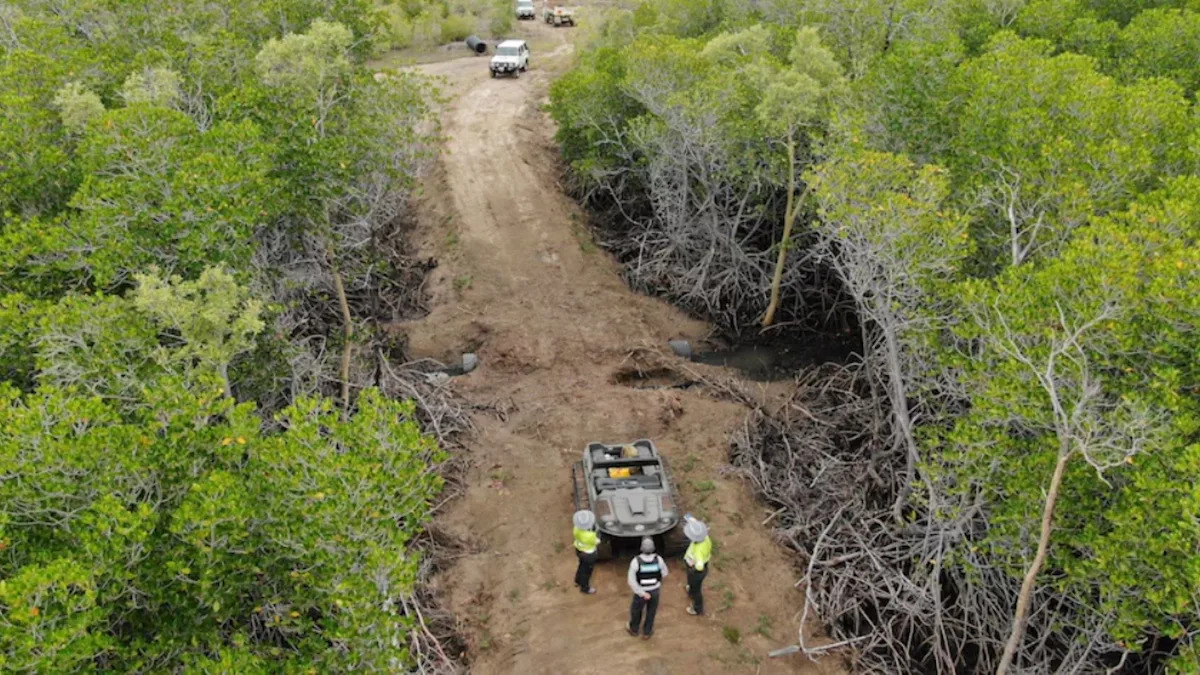 Environmental Destruction: Man's Illegal Driveway Costs Him Thousands In Fines Environmental Destruction: Man's Illegal Driveway Costs Him Thousands In Fines
