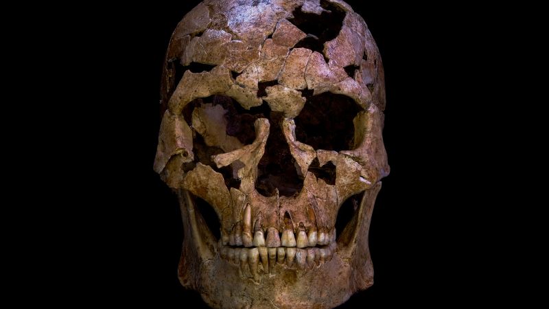Ice Age Skeleton's Broken Neck Offers Insights Into Ancient Lives Ice Age Skeleton's Broken Neck Offers Insights Into Ancient Lives