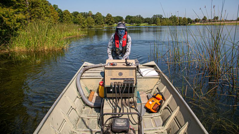 Invasive Species Control:  Electric Shock Treatment For Lakes After Hurricanes