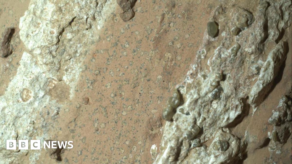 NASA Rover Uncovers Martian Rocks With Potential Biosignatures