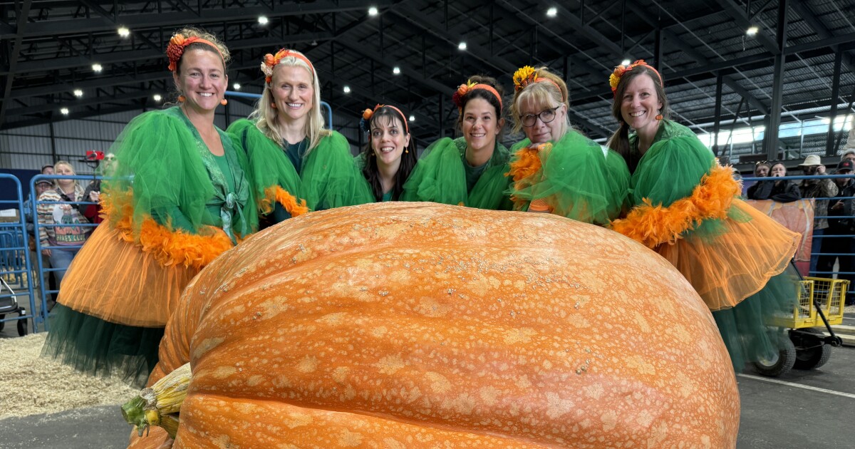 Plan Your Anchorage Weekend: Alaska State Fair And More Local Events