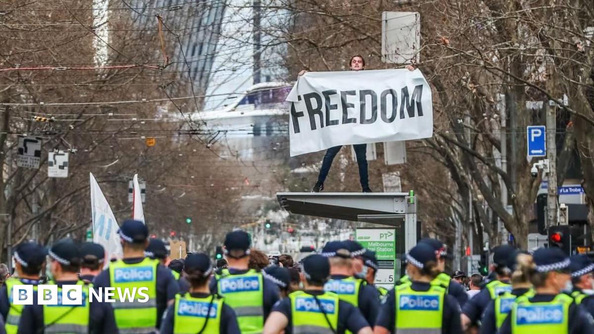 Porepunkah Shooting: Dezi Freeman At The Center Of Online Speculation Porepunkah Shooting: Dezi Freeman At The Center Of Online Speculation