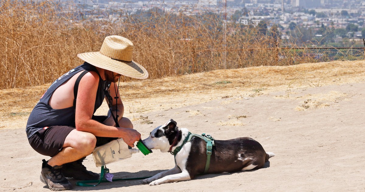 Southwest Heat Wave Forecast: Record-Breaking Temperatures Likely To Exceed 110°F Southwest Heat Wave Forecast: Record-Breaking Temperatures Likely To Exceed 110°F