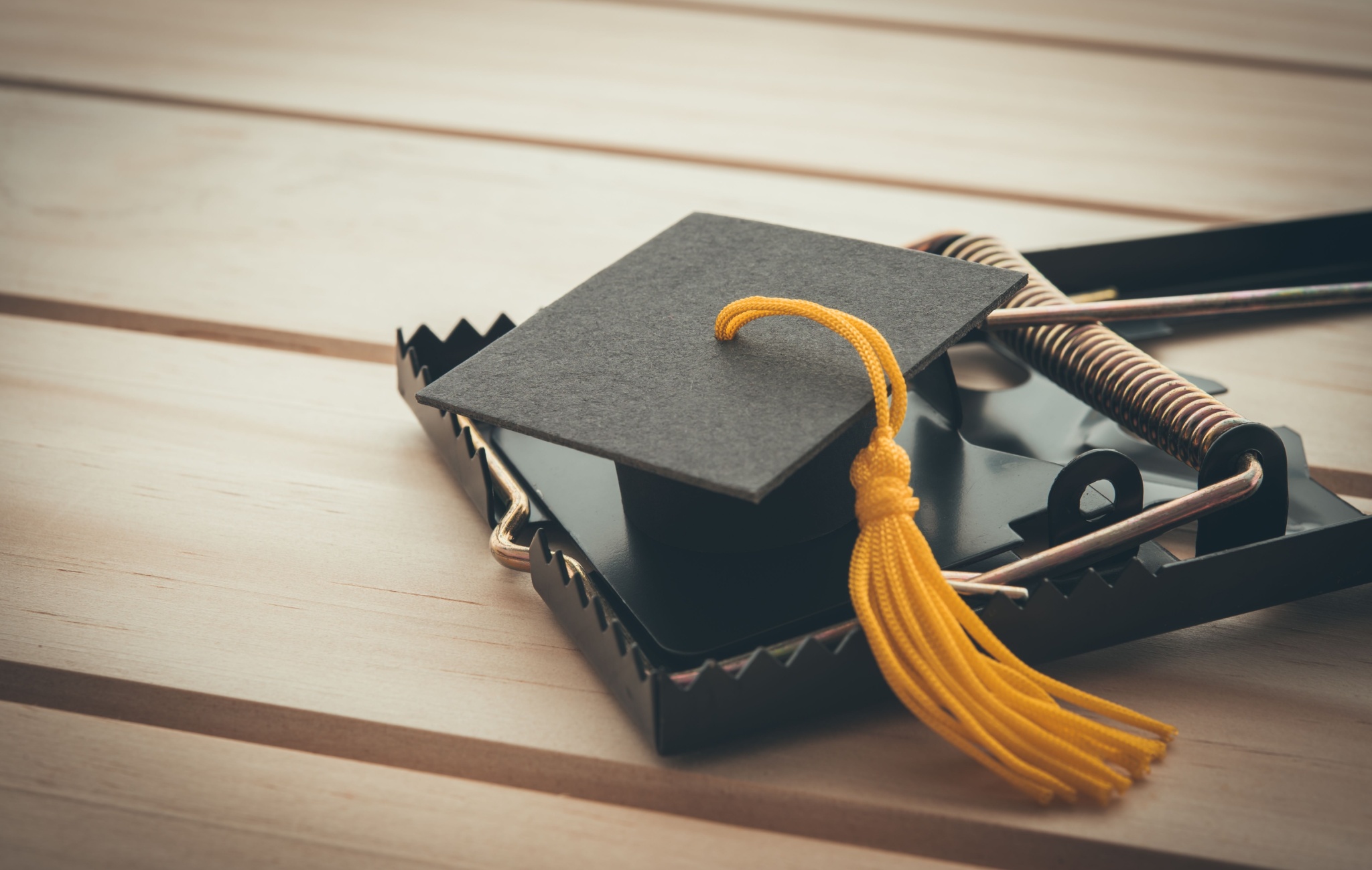 The Ivory Tower Trap: How Student Loans Distort Financial Futures The Ivory Tower Trap: How Student Loans Distort Financial Futures