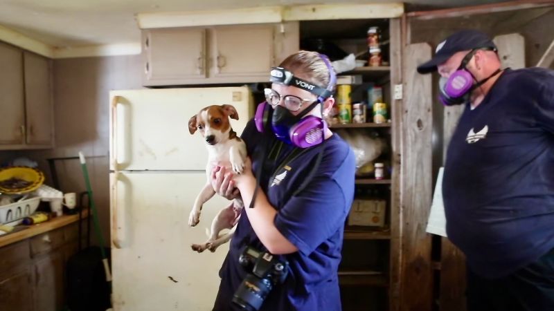 Thousands Saved:  The Dedication And Challenges Of A Large-Scale Animal Rescue